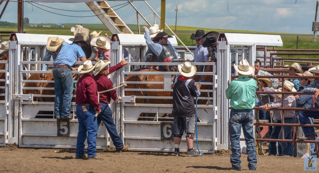 Rockyford Agricultural Society Rodeo