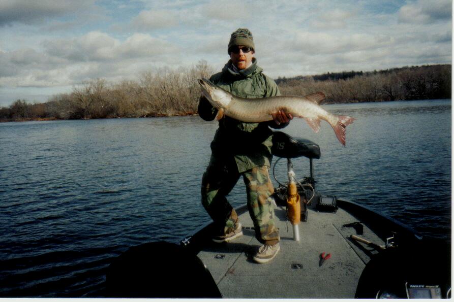 Fishn | 333 Gibbons St, Oshawa, ON L1J 4Z1, Canada | Phone: (905) 449-2275