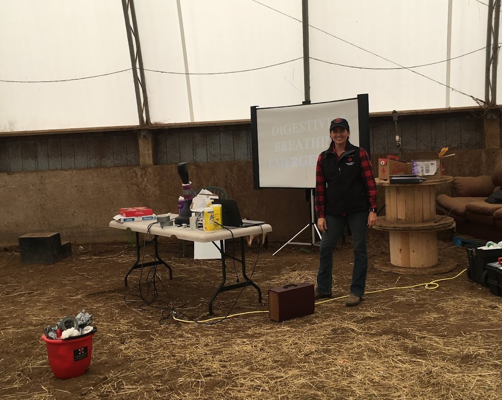 Heather Pankhurst Equine First Aid | Central St, Pickering, ON L1Y 1B5, Canada | Phone: (289) 992-9255
