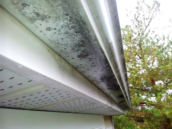 Rockwood Window Cleaning | 125 Harris St, Rockwood, ON N0B 2K0, Canada | Phone: (519) 605-0145