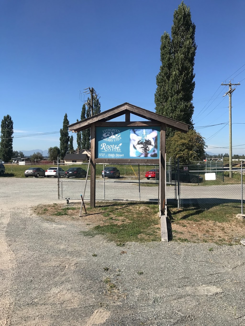 Evergreen Herbs Ltd | 3727 184 St, Surrey, BC V3Z 1B8, Canada | Phone: (604) 576-2567