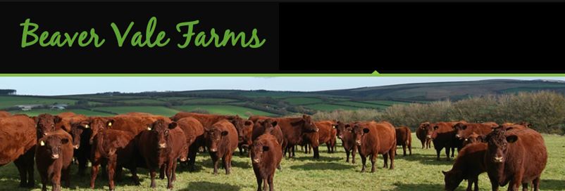 Beaver Vale Farms | 4736 8th Line, Beeton, ON L0G 1A0, Canada | Phone: (905) 775-7639