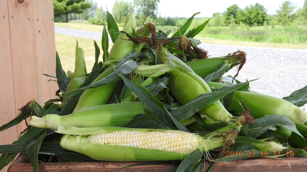 Les Jardins de la Côte Double | 248A Rang du Haut de la Rivière N, Saint-Césaire, QC J0L 1T0, Canada | Phone: (450) 460-1060