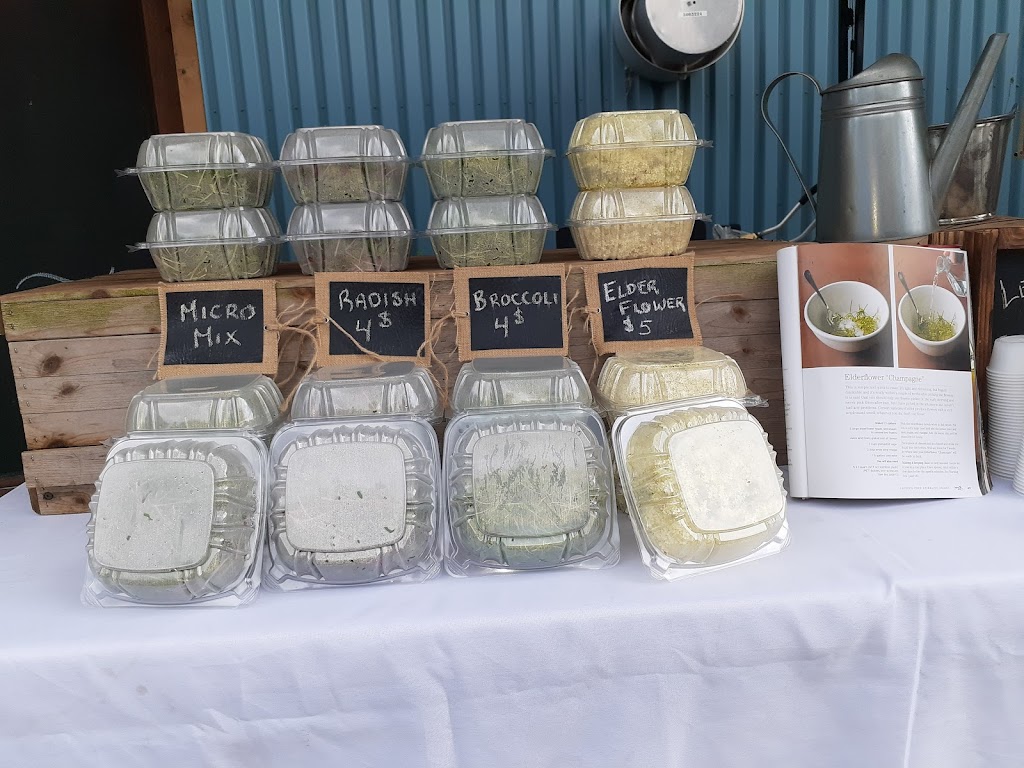 Cumberland Farmers Market | 1115 Dunning Rd, Cumberland, ON K4C 1P6, Canada | Phone: (613) 612-0708
