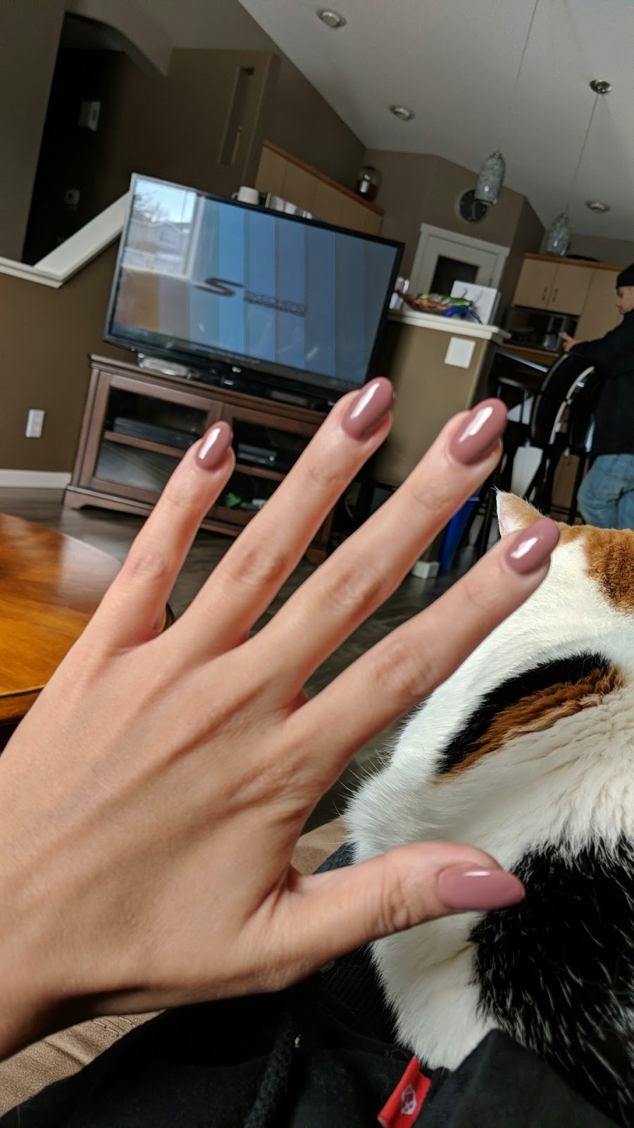 Nails Tech | 690 Elizabeth Rd unit a, Winnipeg, MB R2J 1A4, Canada | Phone: (204) 255-6230
