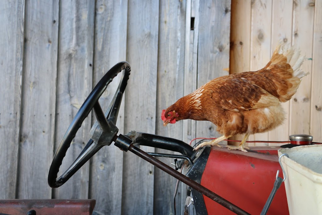Coop les Jardins de la Résistance | 1150 Rang des Botreaux, Ormstown, QC J0S 1K0, Canada | Phone: (450) 370-6782