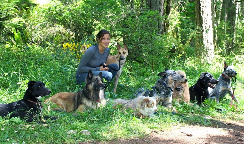 Barks and Recreation Canine Services | 2027 174 St, Surrey, BC V3Z 9Z8, Canada | Phone: (778) 291-2275