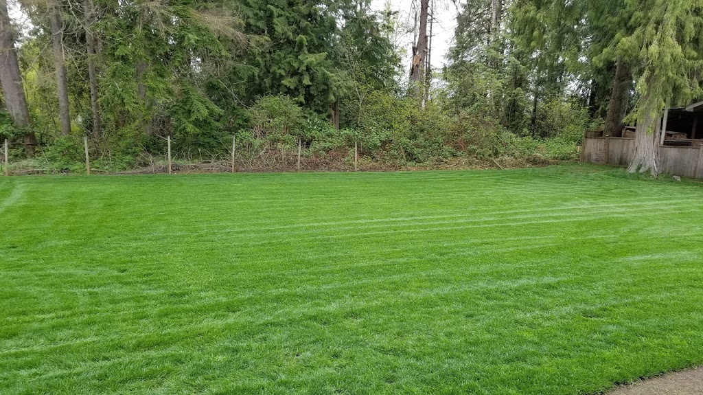Back 40 Landscaping | 30353 Sunset Crescent, Abbotsford, BC V4X 1Y5, Canada | Phone: (778) 808-6961