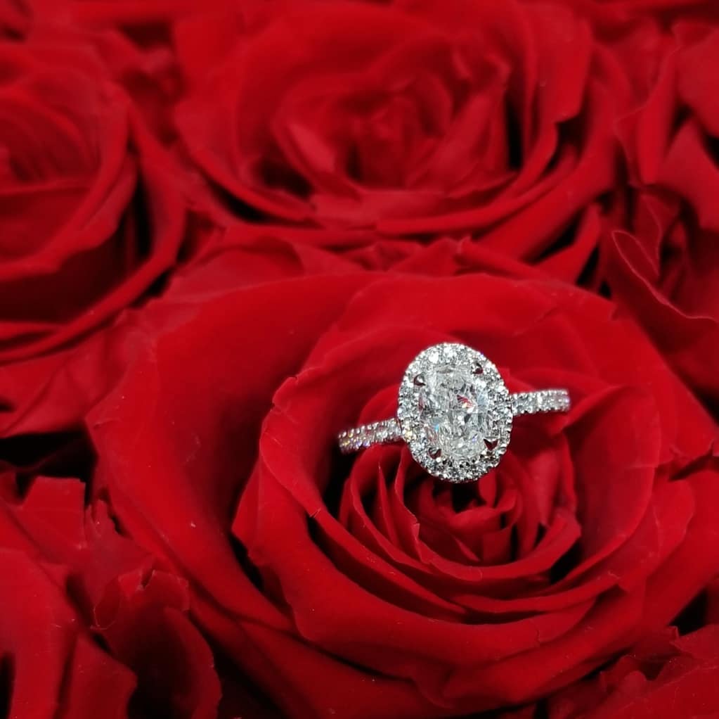 Luna & Co | #28, 9100 Jane St, Concord, ON L4K 0A4, Canada | Phone: (905) 597-8922