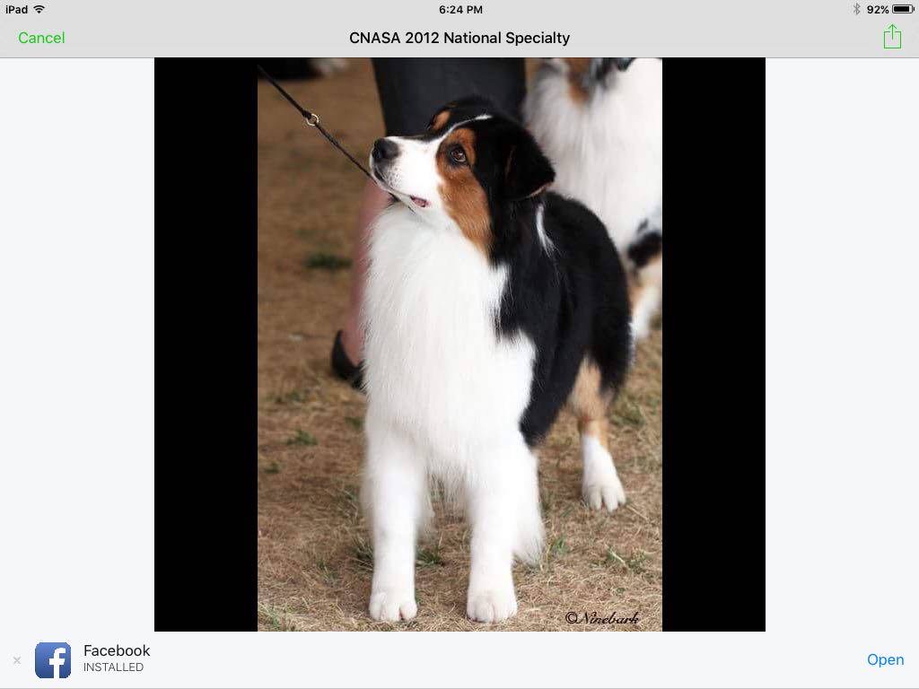 HHC kennels | County Rd, 21 Murphy Rd #6541, Alliston, ON L9R 1V2, Canada | Phone: (705) 424-2423