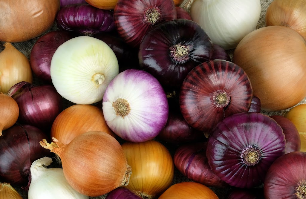 Rockyosa Produce | 24122 TWP RD 341 SW23 41 24 W4, Clive, AB T0C 0Y0, Canada | Phone: (587) 282-0408