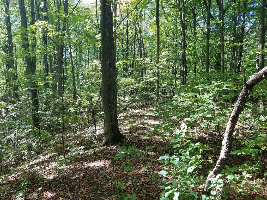 Moraine Park | 4K7, Oak Ridges Trail, Richmond Hill, ON L4E 4K7, Canada