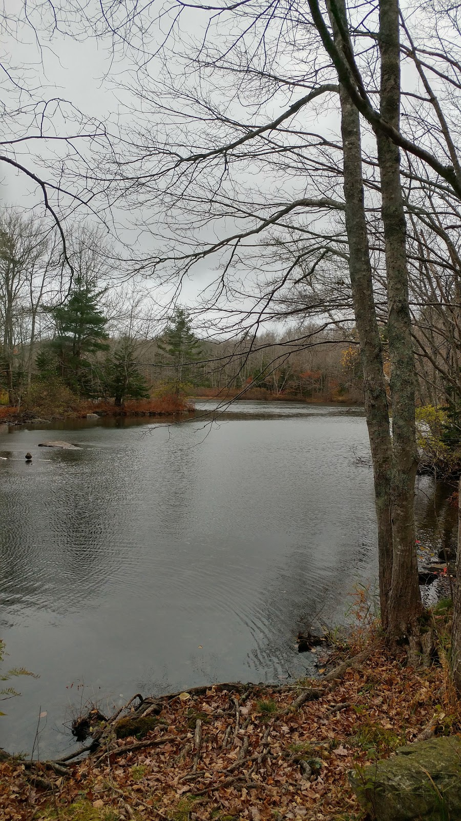 Sackville Lakes Trails Parking | 440 First Lake Dr, Lower Sackville, NS B4C 3L2, Canada