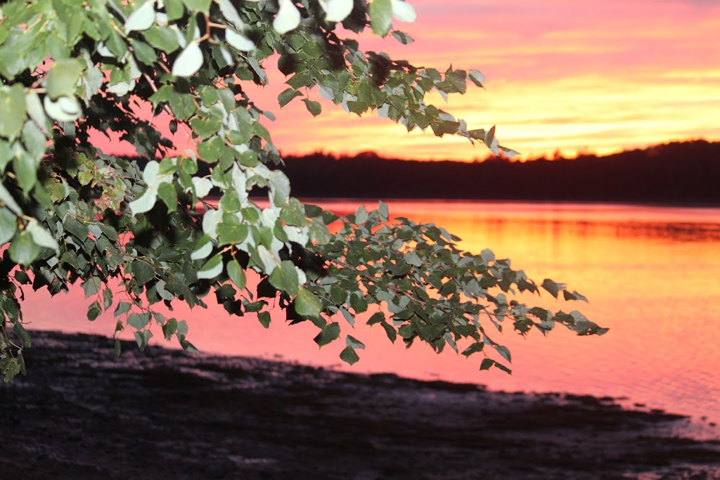 Somers By the Beach Campground | 1937 Gladstone Rd, Murray Harbour, PE C0A 1V0, Canada | Phone: (902) 962-3501