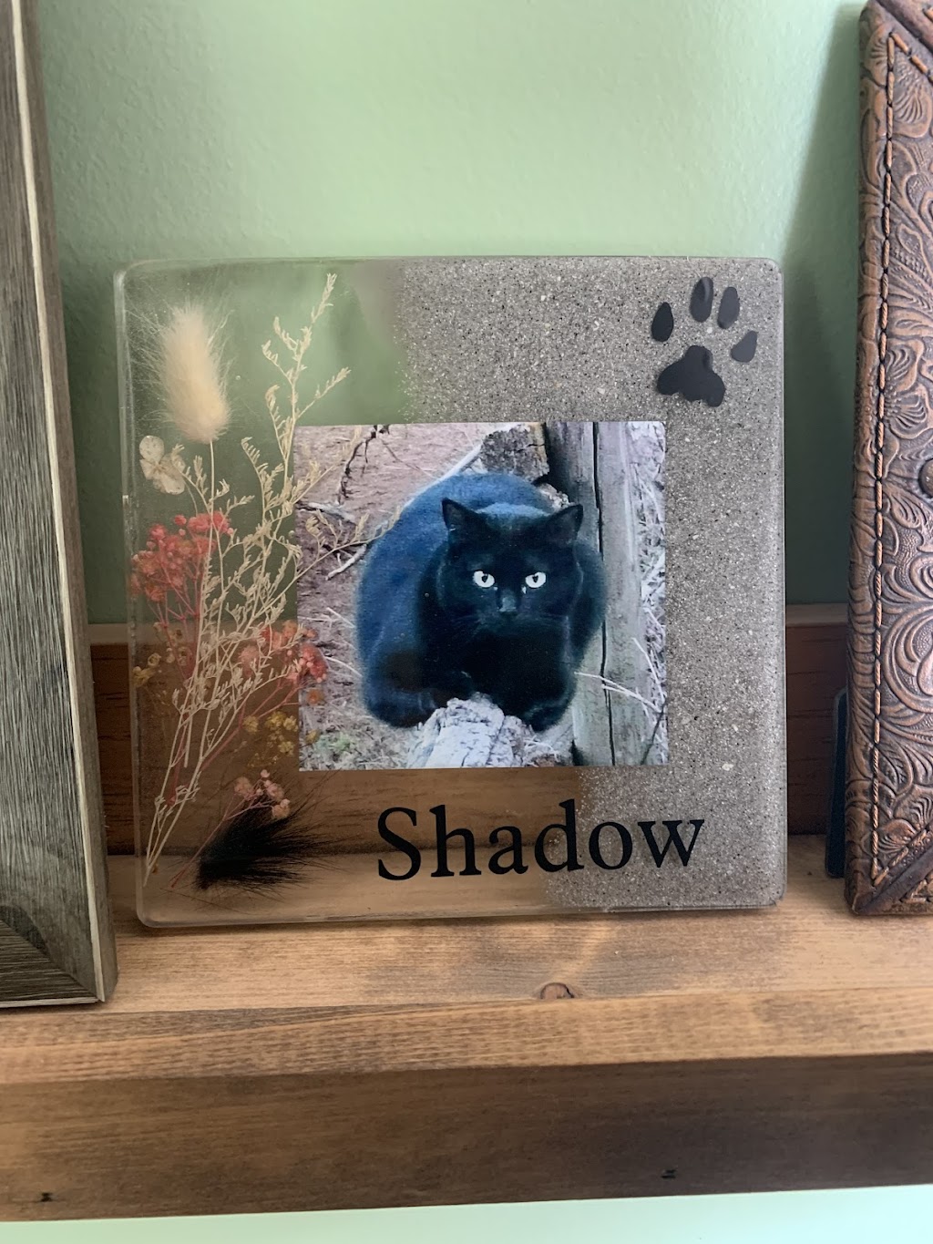T Lazy S Pet Memorial | Box 935, Pincher Creek, AB T0K 1W0, Canada | Phone: (403) 421-0041