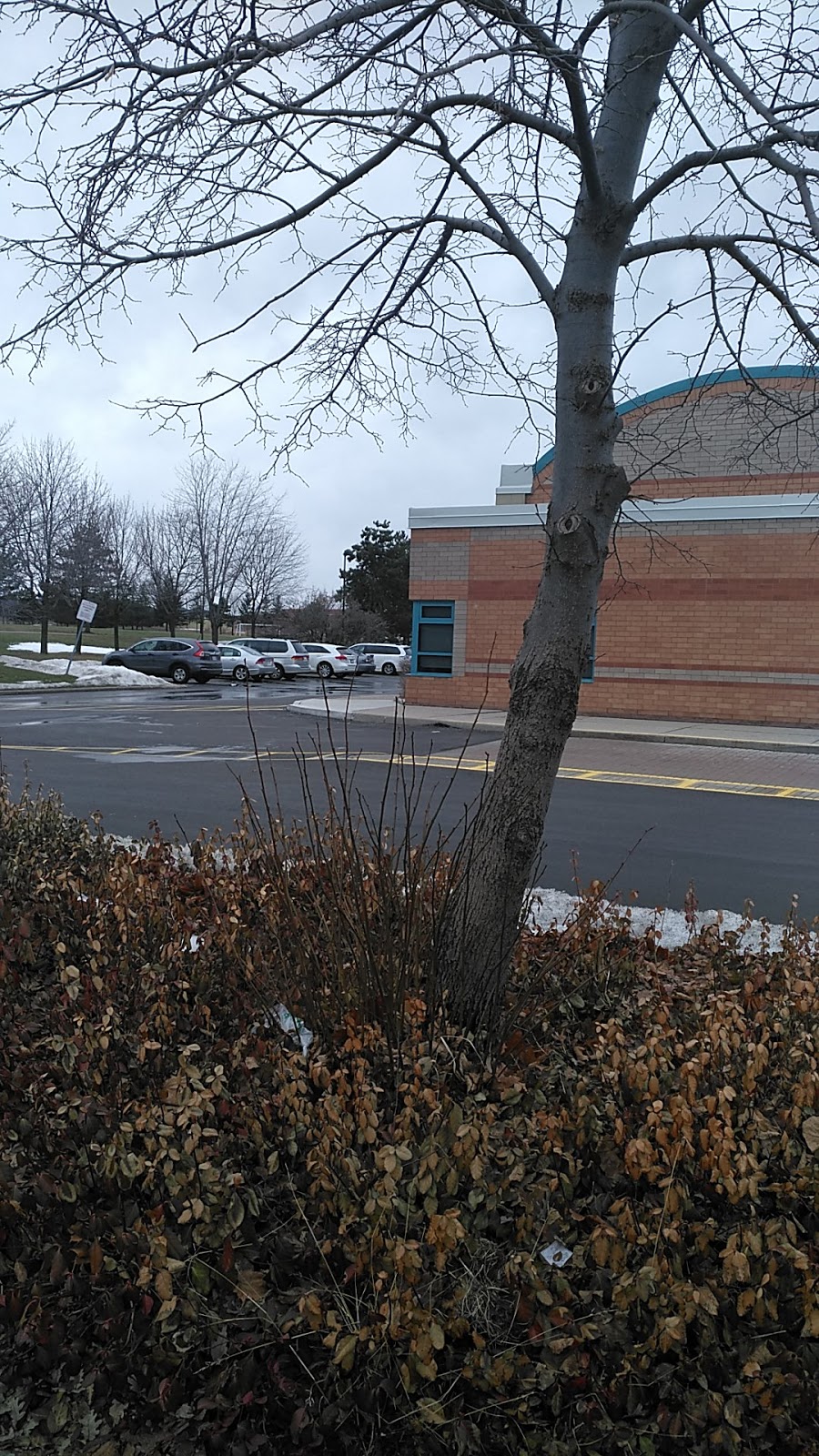 Nahani Way Public School | 235 Nahani Way, Mississauga, ON L4Z 3J6, Canada | Phone: (905) 507-4044
