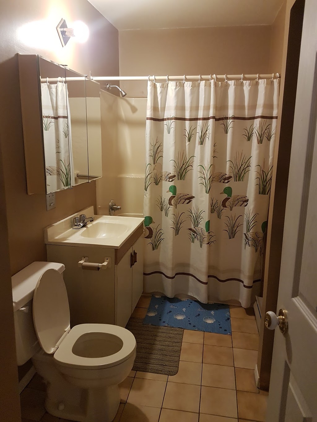 Chalets Lauzon | 521 Rue Lauzon, Saint-Faustin-Lac-Carré, QC J0T 1J2, Canada | Phone: (819) 688-2809