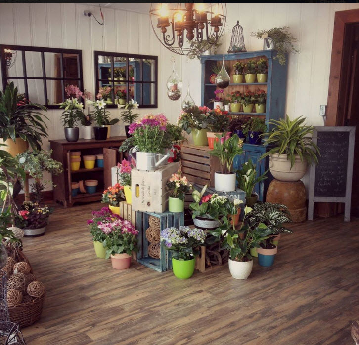 Fleuriste St-Jovite (Mont-Tremblant) | 1250 Rue de St Jovite, Mont-Tremblant, QC J8E 3J9, Canada | Phone: (819) 425-3366