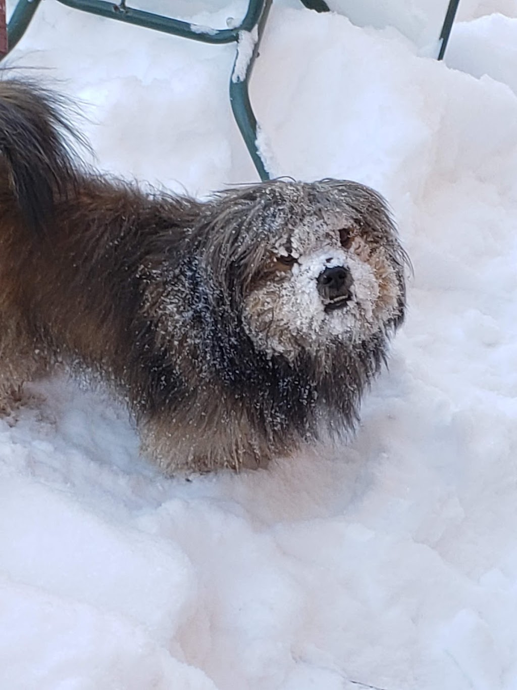 Derry Heights Animal Hospital | 6941 Derry Rd W b05, Milton, ON L9T 7H5, Canada | Phone: (905) 878-1060