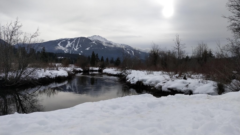 Meadow Park | Meadow Ln, Whistler, BC V0N 1B8, Canada | Phone: (604) 935-7529