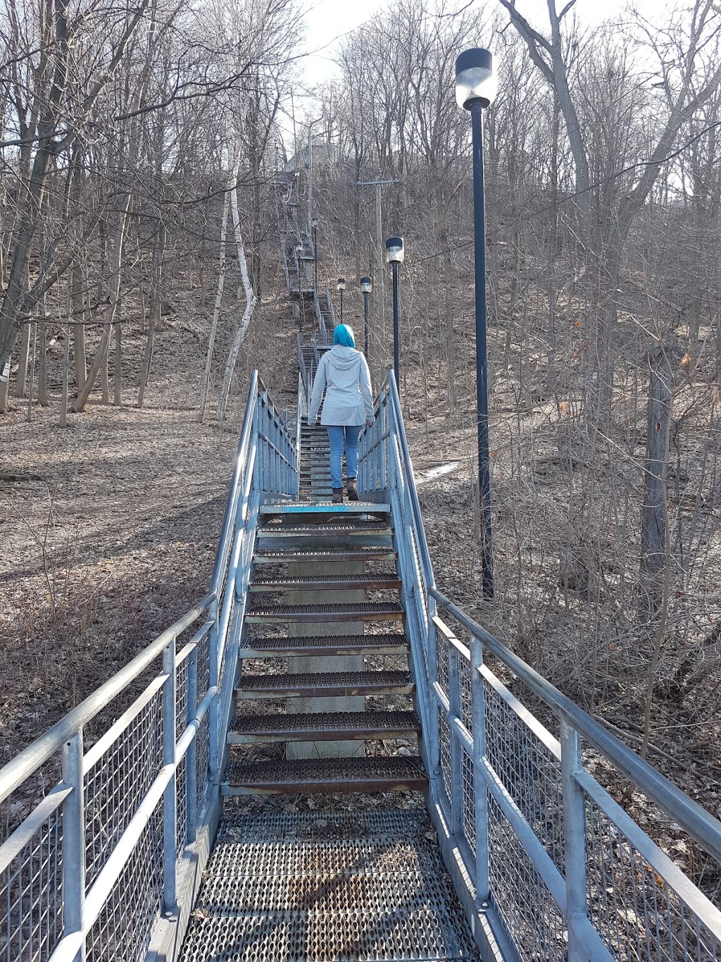 Dundurn Stairs | 2X3, Dundurn Stairs, Hamilton, ON L8P 2X3, Canada