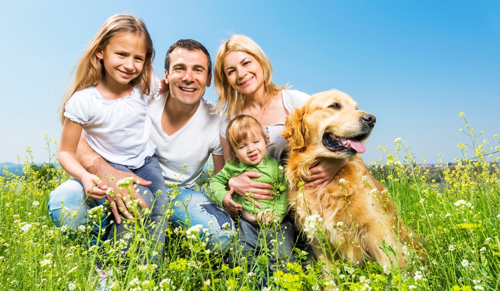 New Life Debt Solutions Inc. | 9200 120 St #208, Surrey, BC V3V 4B7, Canada | Phone: (604) 909-2277