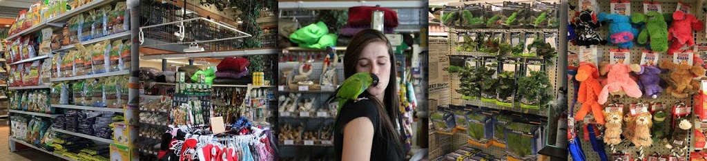 Animalerie Chico | 5965 Boulevard Jean-XXIII, Trois-Rivières, QC G8Z 4N8, Canada | Phone: (819) 374-6464