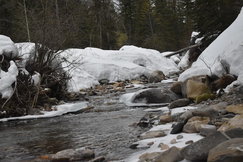 Fairy Creek Falls | 102 Commerce Rd, Fernie, BC V0B 1M5, Canada | Phone: (250) 423-6868