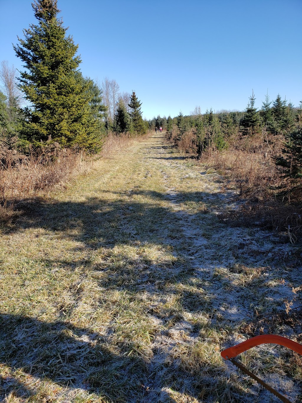 R & R Tree Farm | 7113 Brown Rd, Brockville, ON K6V 5T2, Canada | Phone: (613) 802-7625