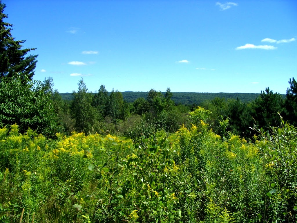 Hummingbird-Retreat | 621 1e Rang, Saint-Étienne-de-Bolton, QC J0E 2E0, Canada | Phone: (450) 297-1161