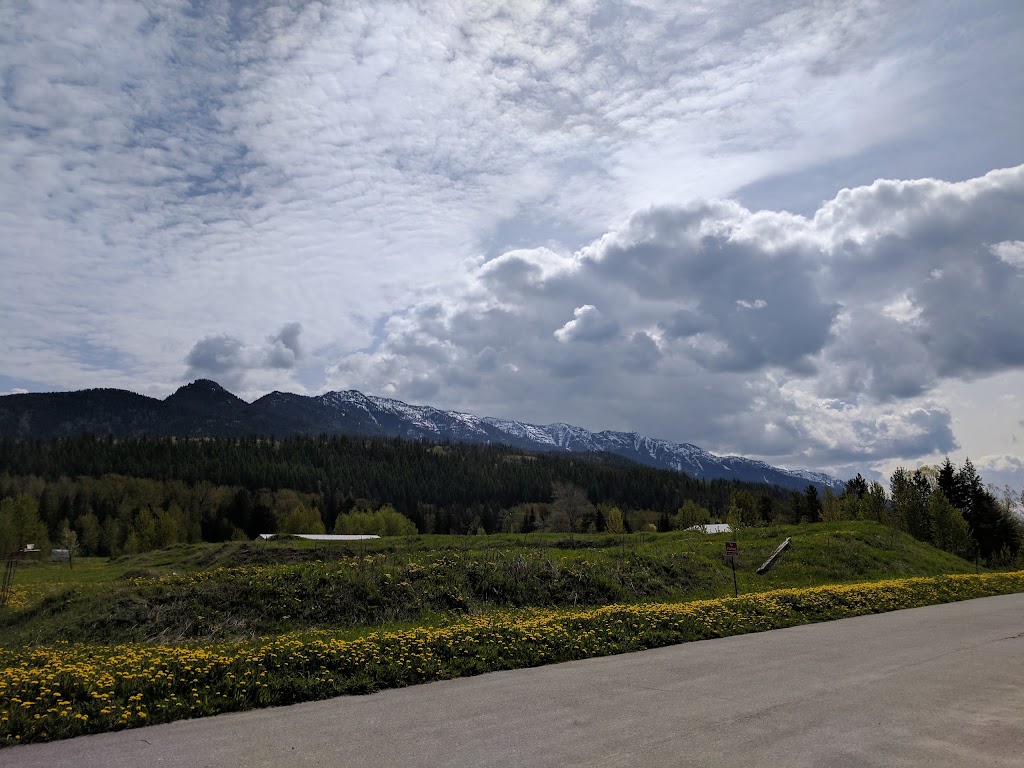 Pinnacle Ridge Resort | 5547 Vanlerberg Rd, East Kootenay C, BC V0B 1G0, Canada | Phone: (250) 423-2606