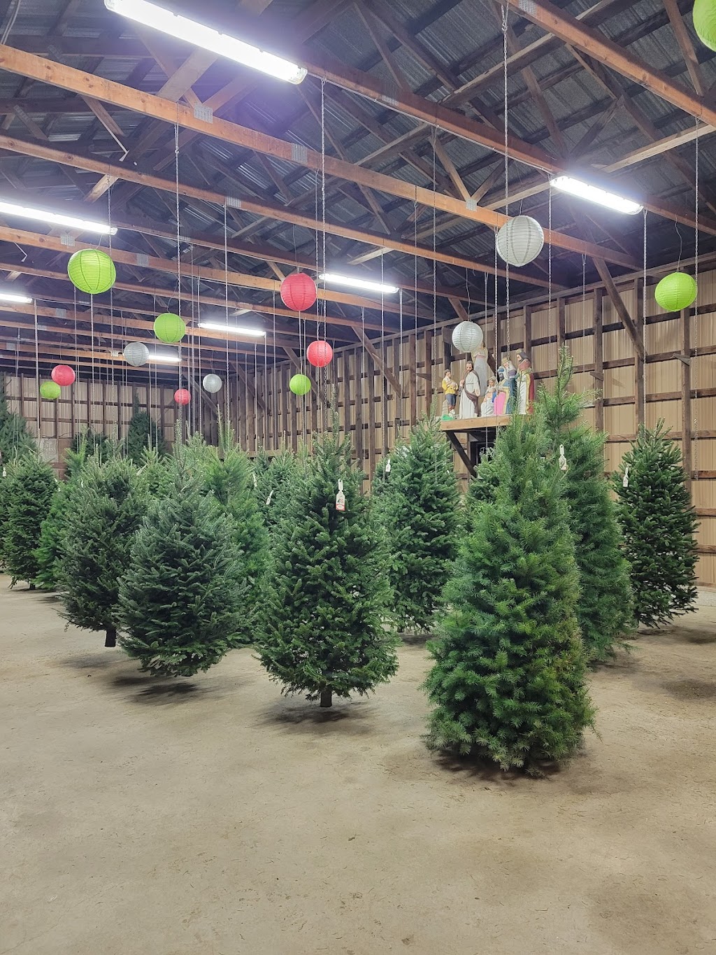 Pine Meadows Tree Farms Ltd. | 47036 Prairie Central Rd, Chilliwack, BC V2P 6H3, Canada | Phone: (604) 793-3090
