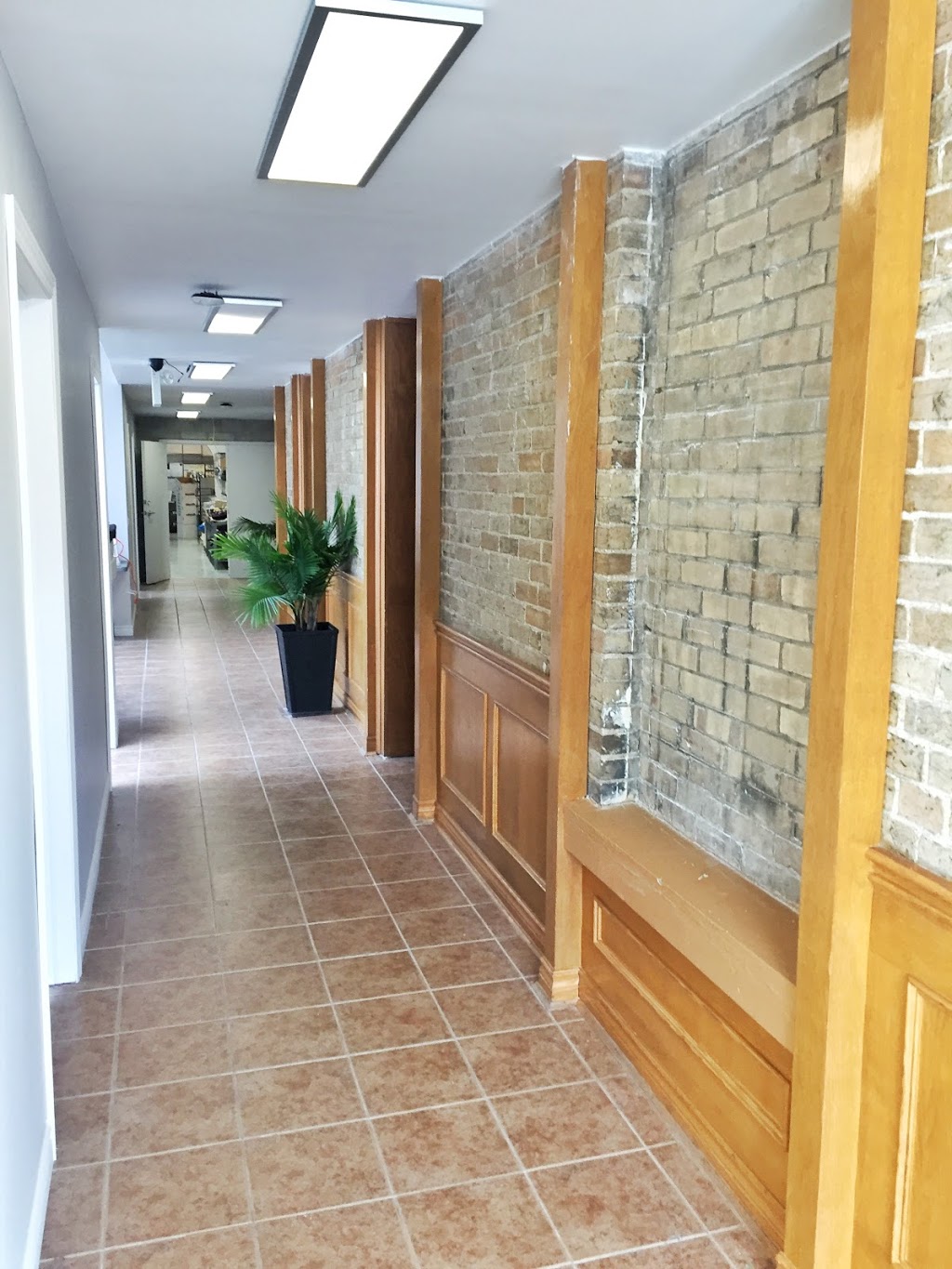 Dr. Noelle de Dreu, Naturopathic Doctor | 79 Montclair Dr, Woodstock, ON N4V 1C5, Canada | Phone: (519) 290-5100