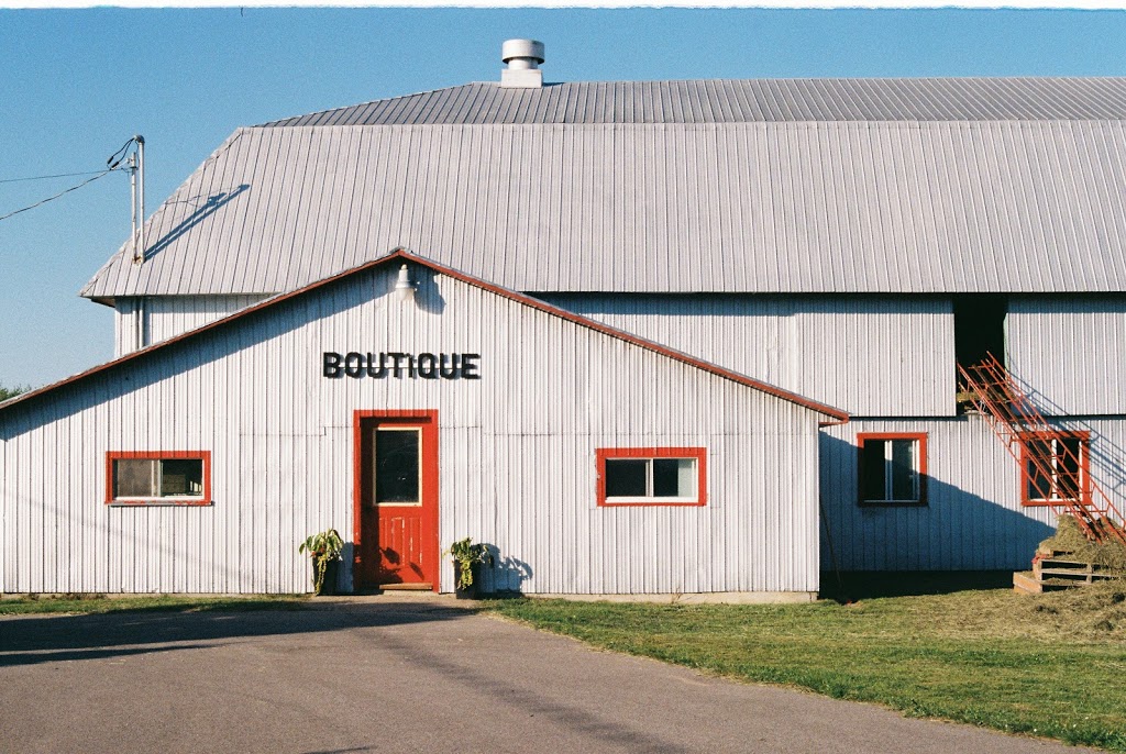 Alpagas de Bernieres | 499 Rang Saint Charles, Saint-Pierre-les-Becquets, QC G0X 2Z0, Canada | Phone: (819) 244-6618