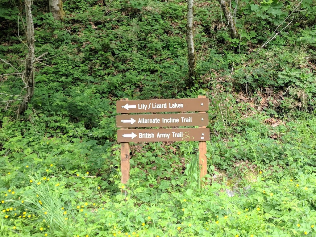 Blanchard mountain Trail Lower Parking lot | Bow, WA 98232, USA