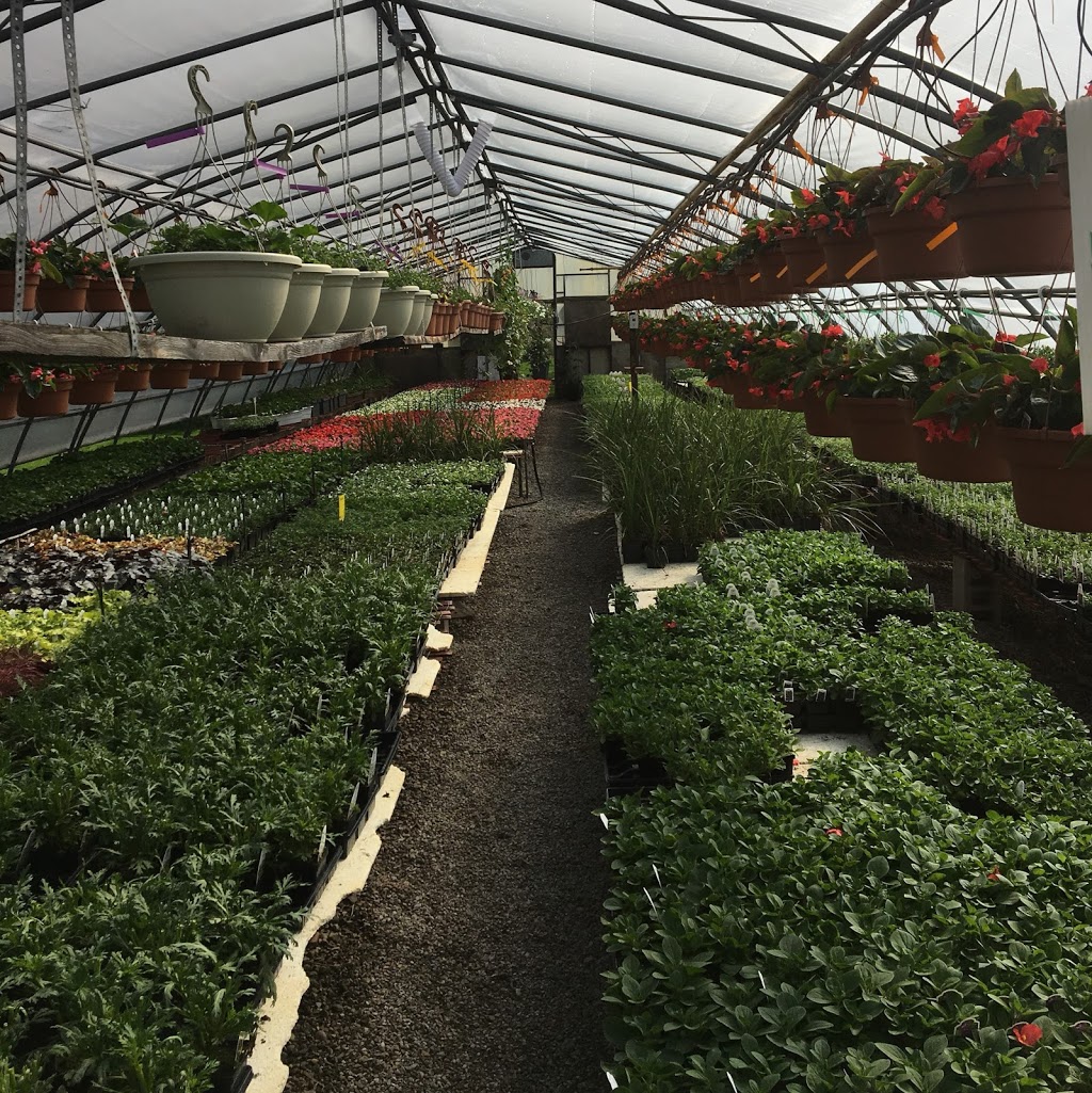 Sebringville Garden Centre | 137 Huron Rd, Stratford, ON N5A 6S6, Canada | Phone: (519) 393-6131