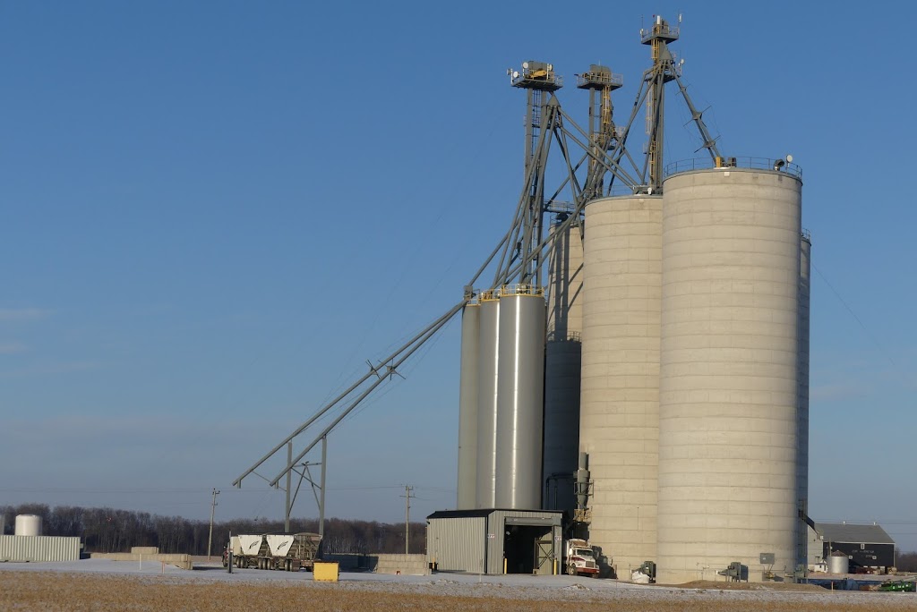 Yantzi Feed & Seed | 65 Woodstock St N, Tavistock, ON N0B 2R0, Canada | Phone: (519) 655-2033