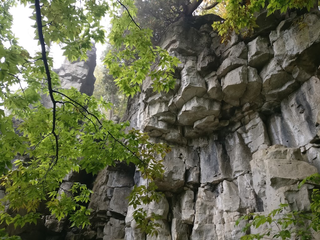 Rattlesnake Point Conservation Area | 7200 Appleby Line, Milton, ON L9E 0M9, Canada | Phone: (905) 854-0262