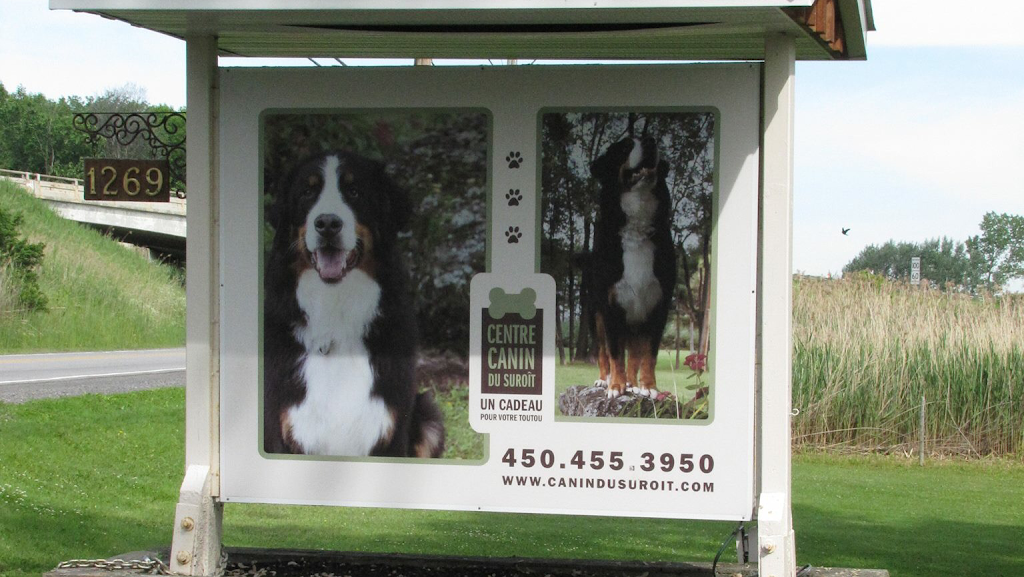 Center Canin Du Suroît | 1269 Rte Harwood, Vaudreuil-Dorion, QC J7V 8P2, Canada | Phone: (450) 455-3950