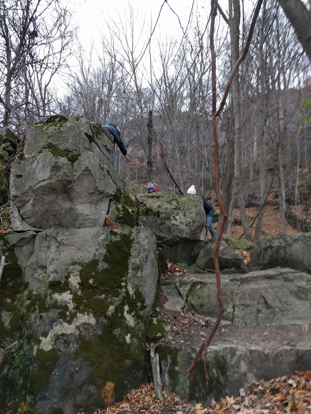 Cave Springs Conservation Area | 3949 Cave Spring Rd, Campden, ON L0R 1G0, Canada