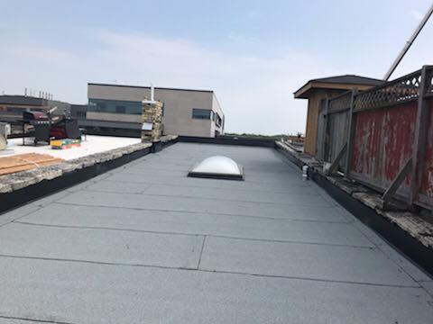 AM Group of Companies | 319414 Grey Rd 1, Kemble, ON N0H 1S0, Canada | Phone: (866) 327-6762