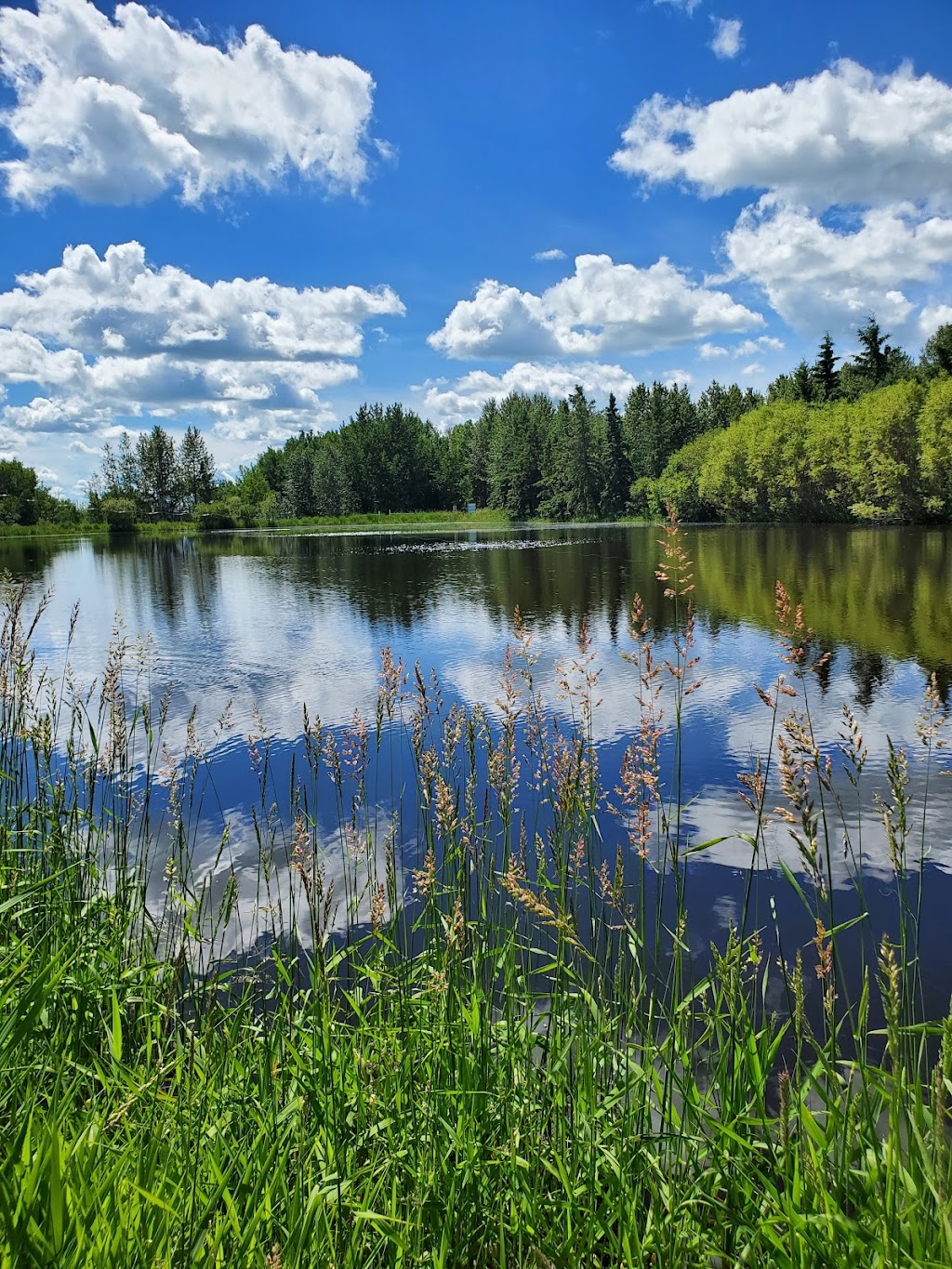 Cipperlys Pond and Campground | Unnamed Road 0W0, Didsbury, AB T0M 0W0, Canada | Phone: (403) 586-3748