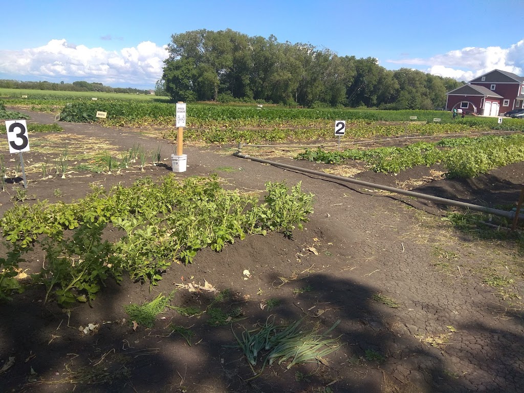 Floodway Gardens | 567 Shalom Path, Narol, MB R1C 0C3, Canada | Phone: (204) 661-9162