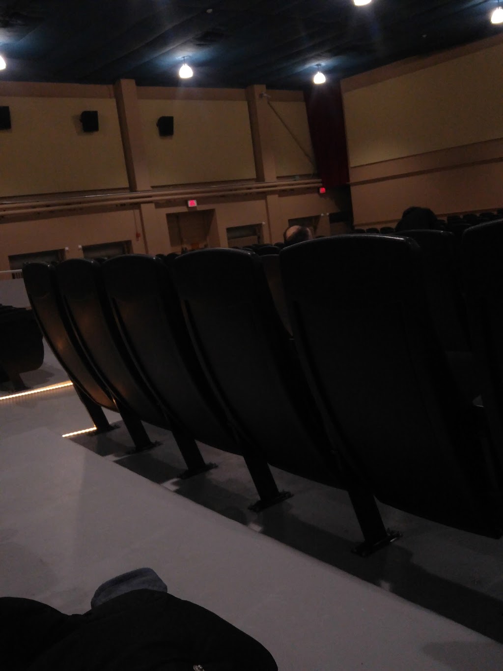 Terra Theatre-Cinema | 14 Tobruk Rd, Borden, ON L0M 1C0, Canada | Phone: (705) 424-5096
