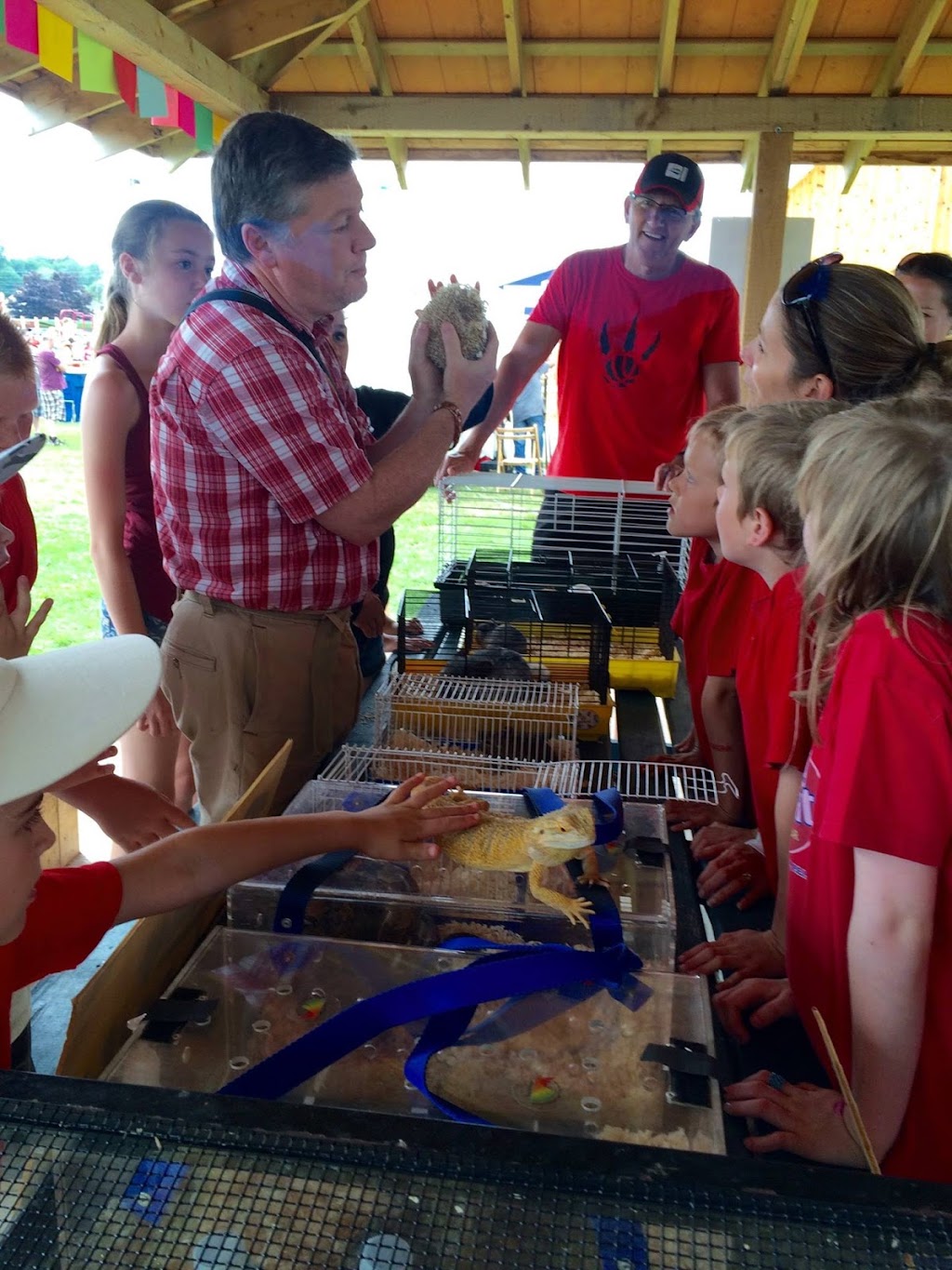 Bunny Trails Pet Ranch | 1306 Rte 20, Kensington, PE C0B 1M0, Canada | Phone: (902) 954-0097