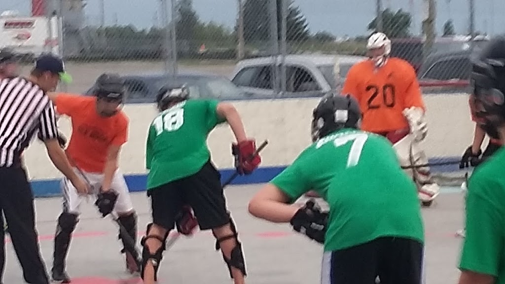 Hamilton End2End Ball Hockey Club | 2633 Upper James St, Mount Hope, ON L0R 1W0, Canada | Phone: (905) 679-2317
