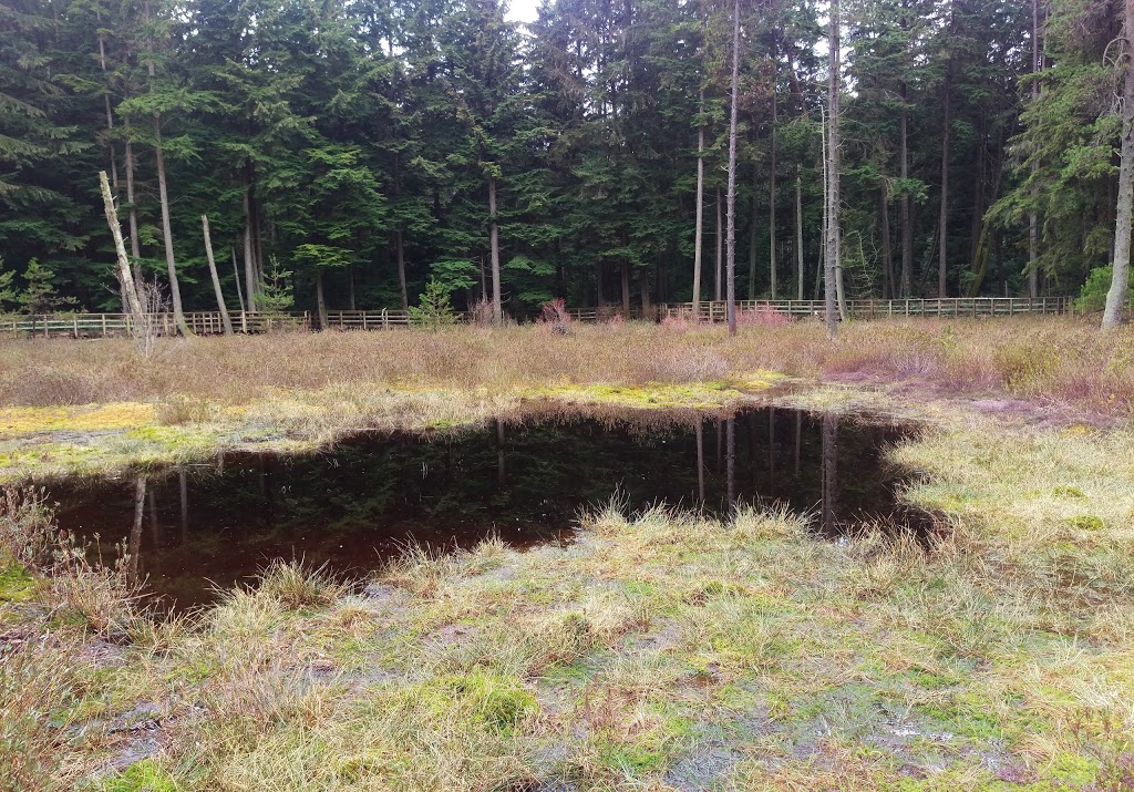 Camosun Bog | Imperial Dr, Vancouver, BC V6S, Canada