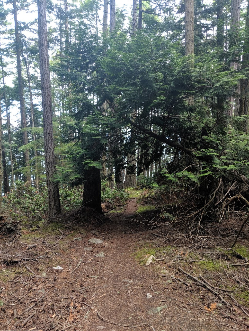 Watmough Bay | 1045 Watmough Head Rd, Lopez Island, WA 98261, USA