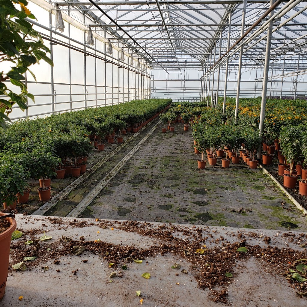 Dutch Flower House | 1214 Concession 7 Rd, Niagara-on-the-Lake, ON L0S 1J0, Canada | Phone: (905) 684-0600