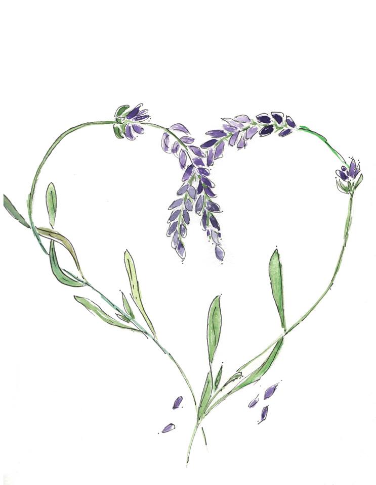 Lavender-Blu | 2375 Bank Rd, Seagrave, ON L0C 1G0, Canada | Phone: (905) 922-6983